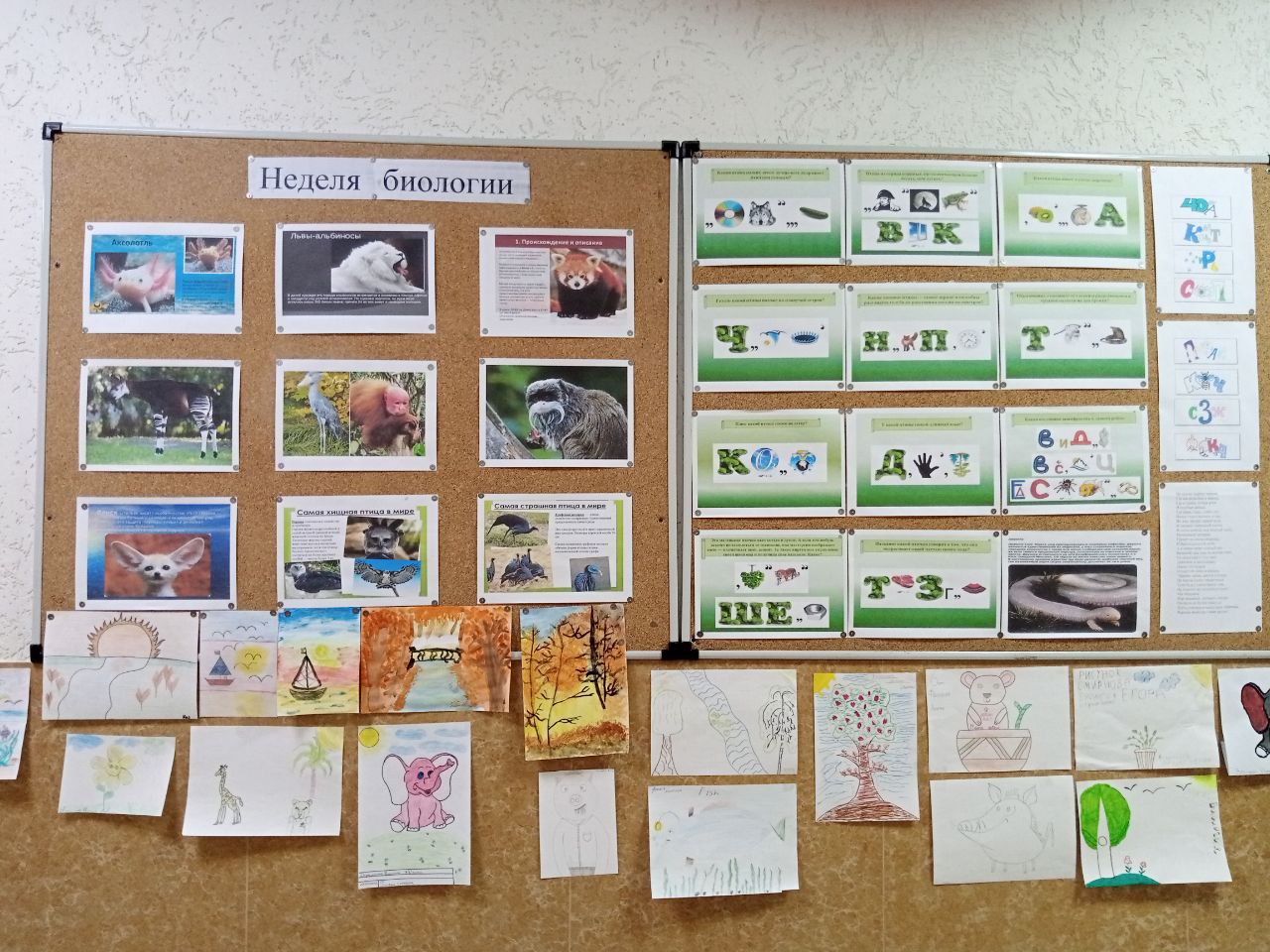 photo_2023-02-08_14-18-13