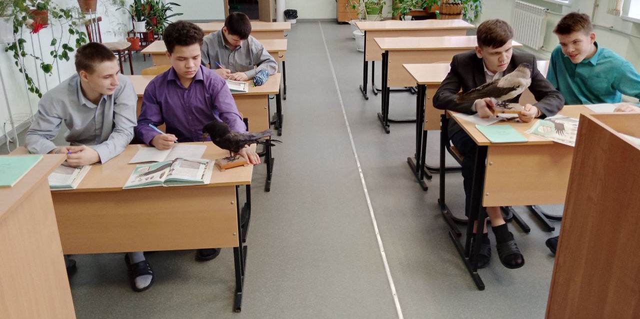 photo_2023-02-15_13-09-09