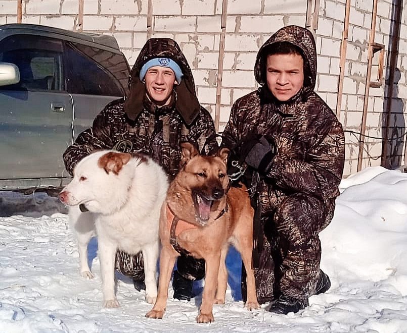 Волонтеры Орловского СУВУ оказали помощь передержке для собак