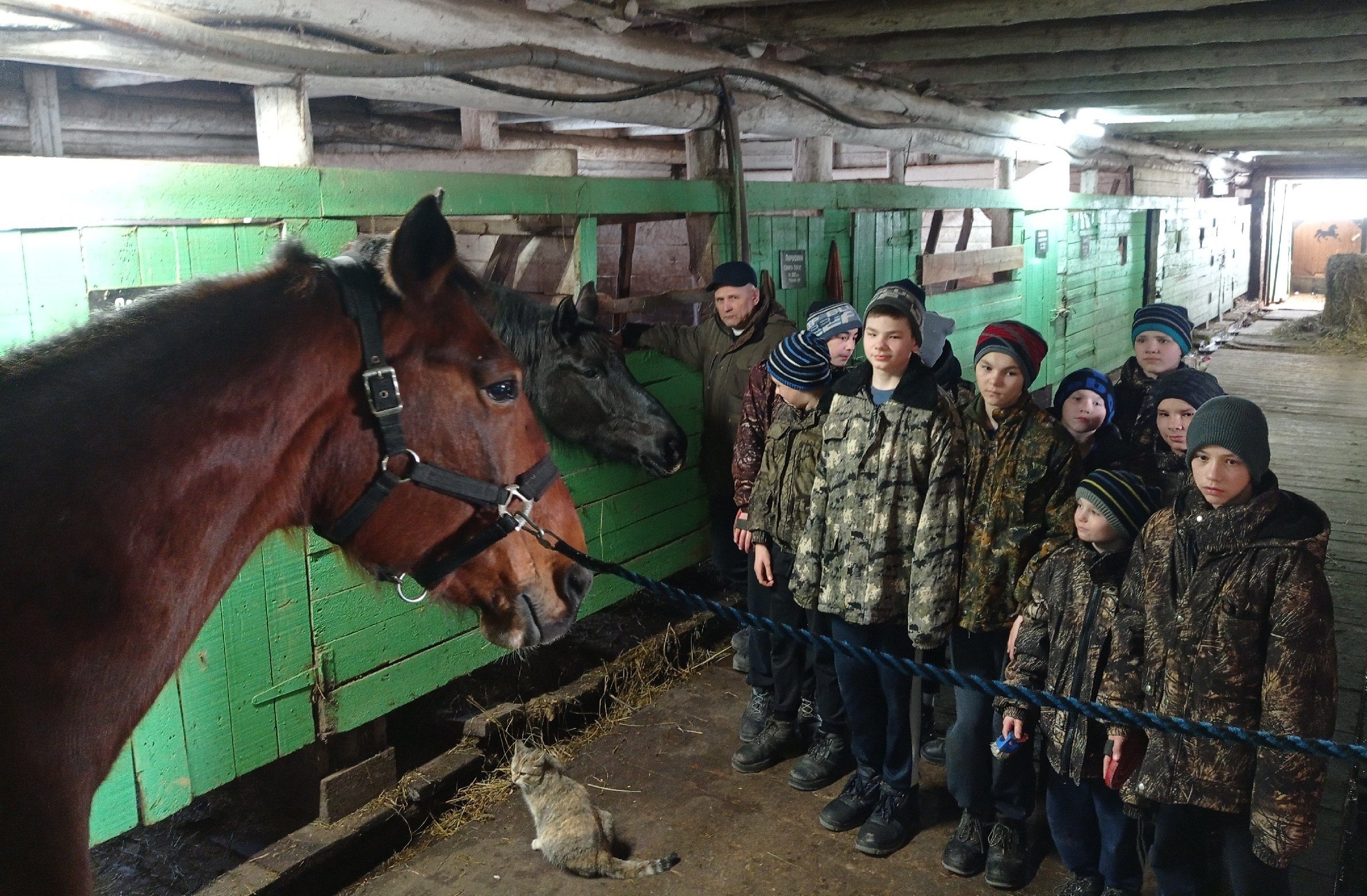 Воспитанники Орловского СУВУ посетили конно-спортивный клуб