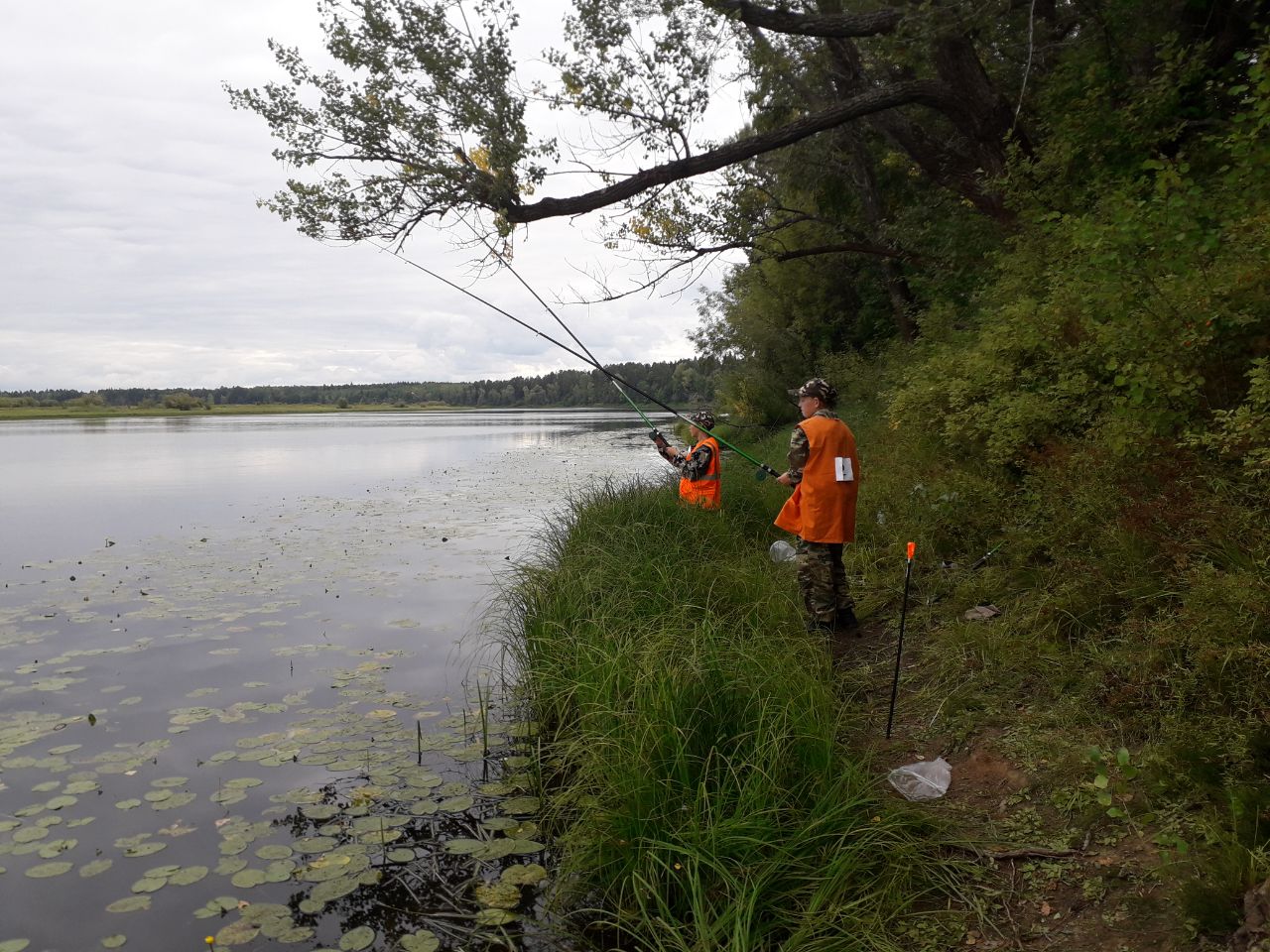photo_2024-08-17_20-27-03