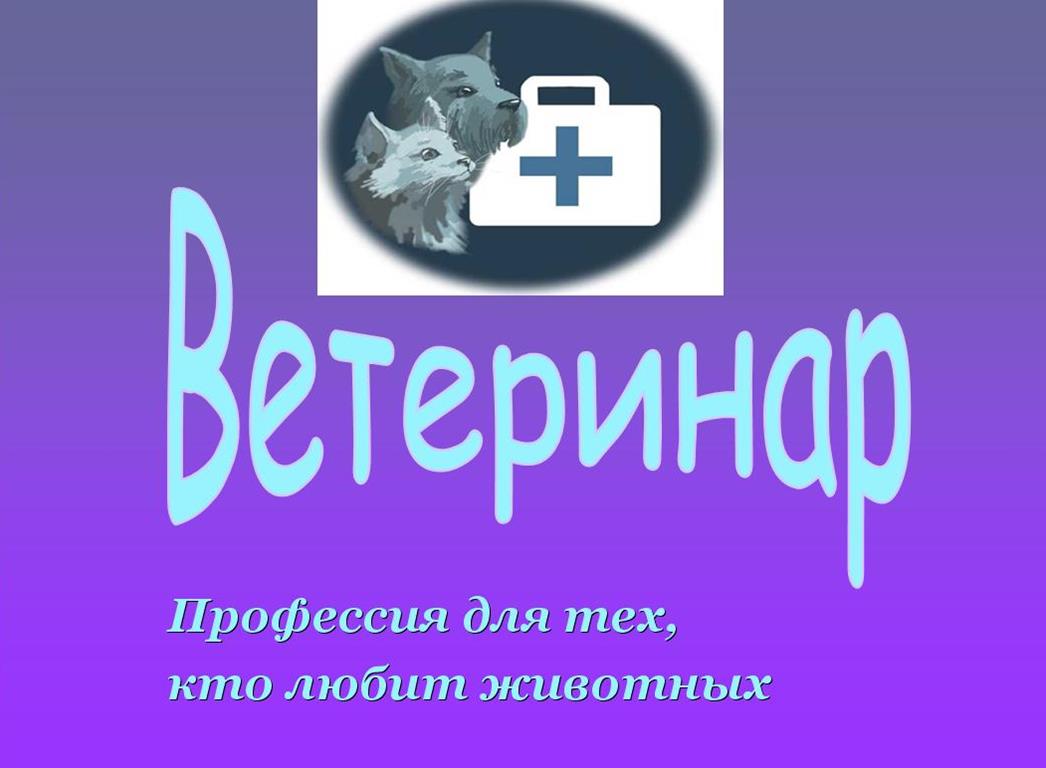 Профориентационное занятие из цикла «Шоу профессий»