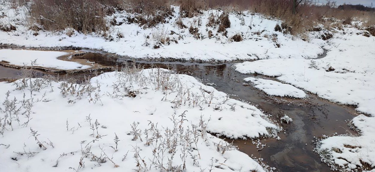 photo_2024-12-09_21-44-38