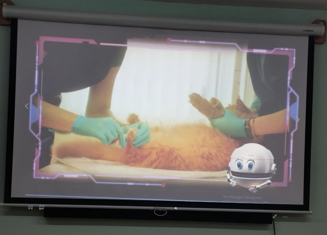 photo_2024-12-13_13-30-15