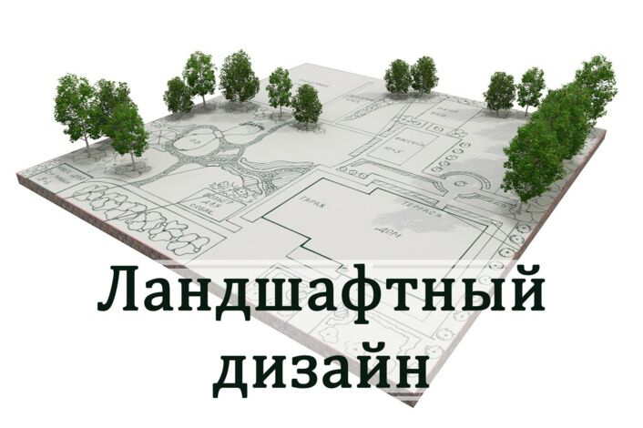 Воспитанники познакомились с профессией «Ландшафтный дизайнер»