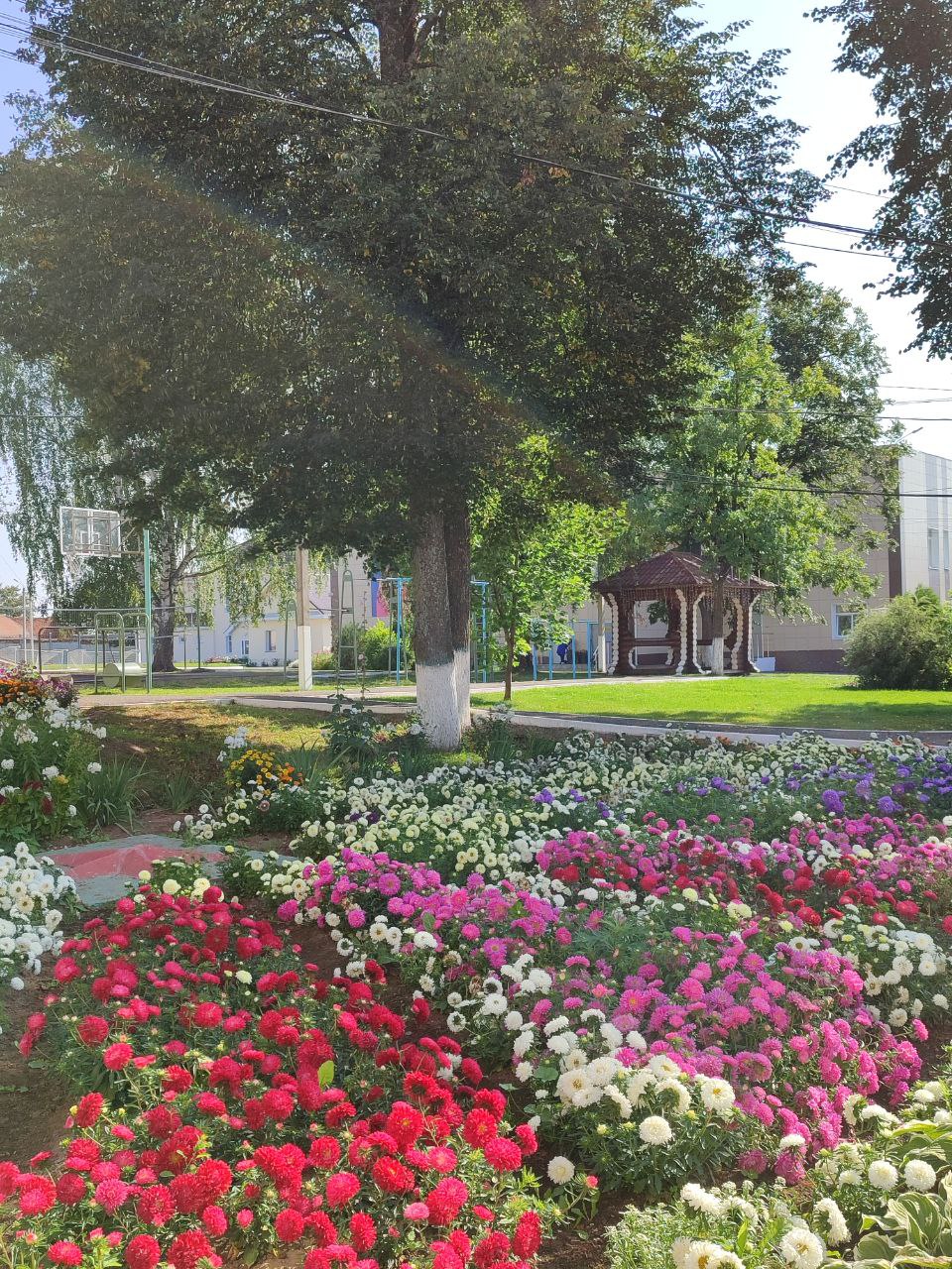 photo_2024-09-07_21-05-43