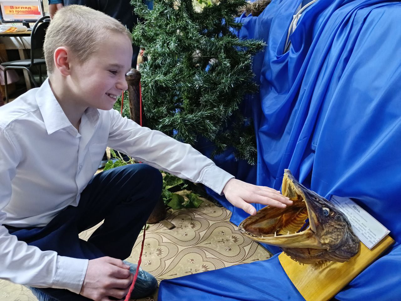 photo_2025-02-19_19-02-41