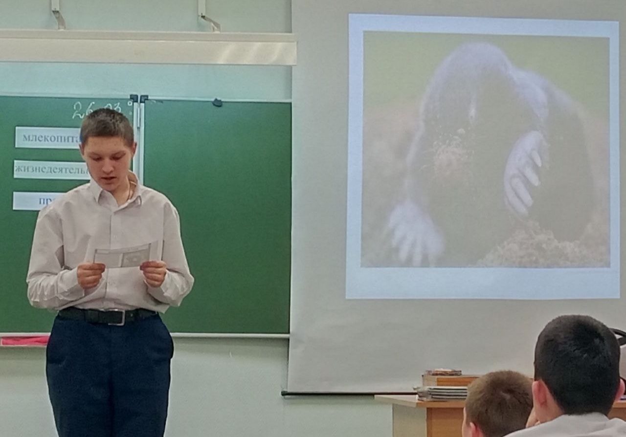 photo_2025-03-27_15-38-43