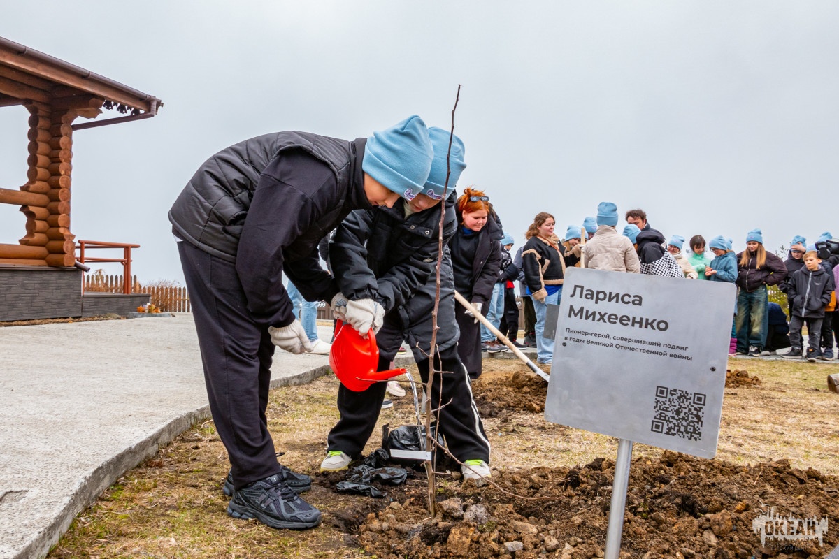 961dcdba61604534528b_2000x