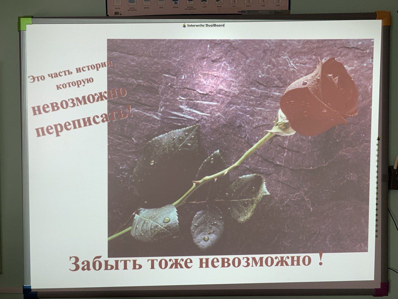 photo_2025-04-13_10-41-20 (2)