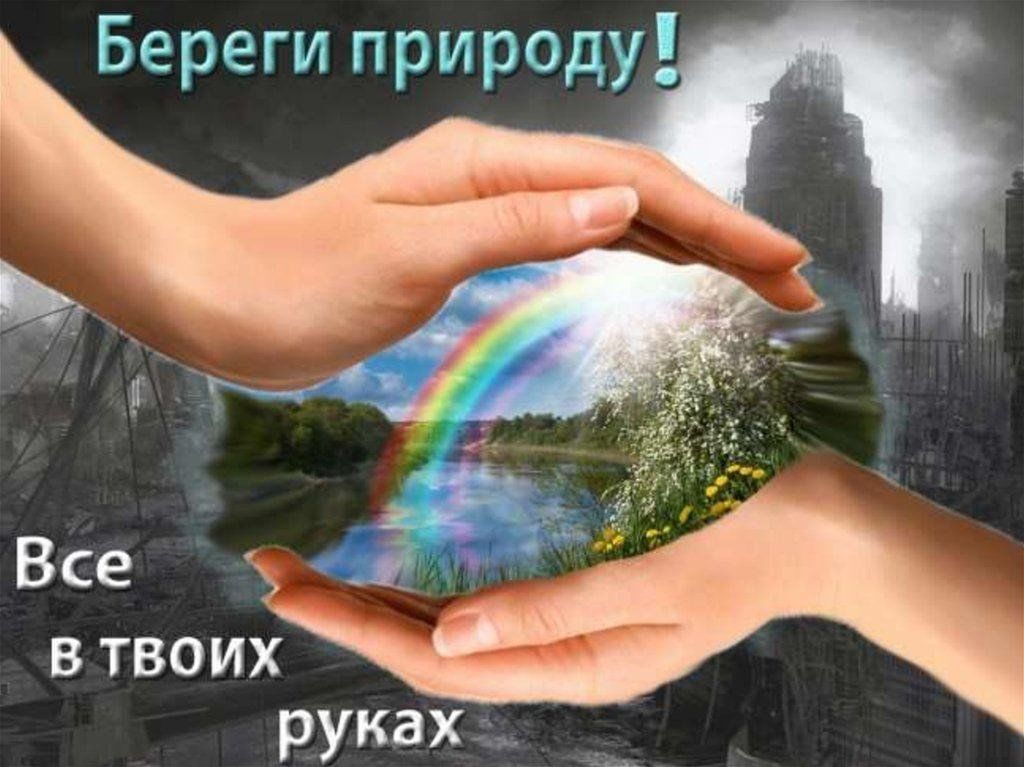 Творческий час «Мы природой дорожим»