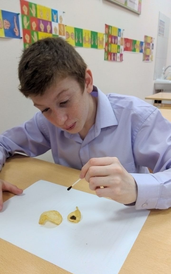 photo_2025-04-28_16-16-12