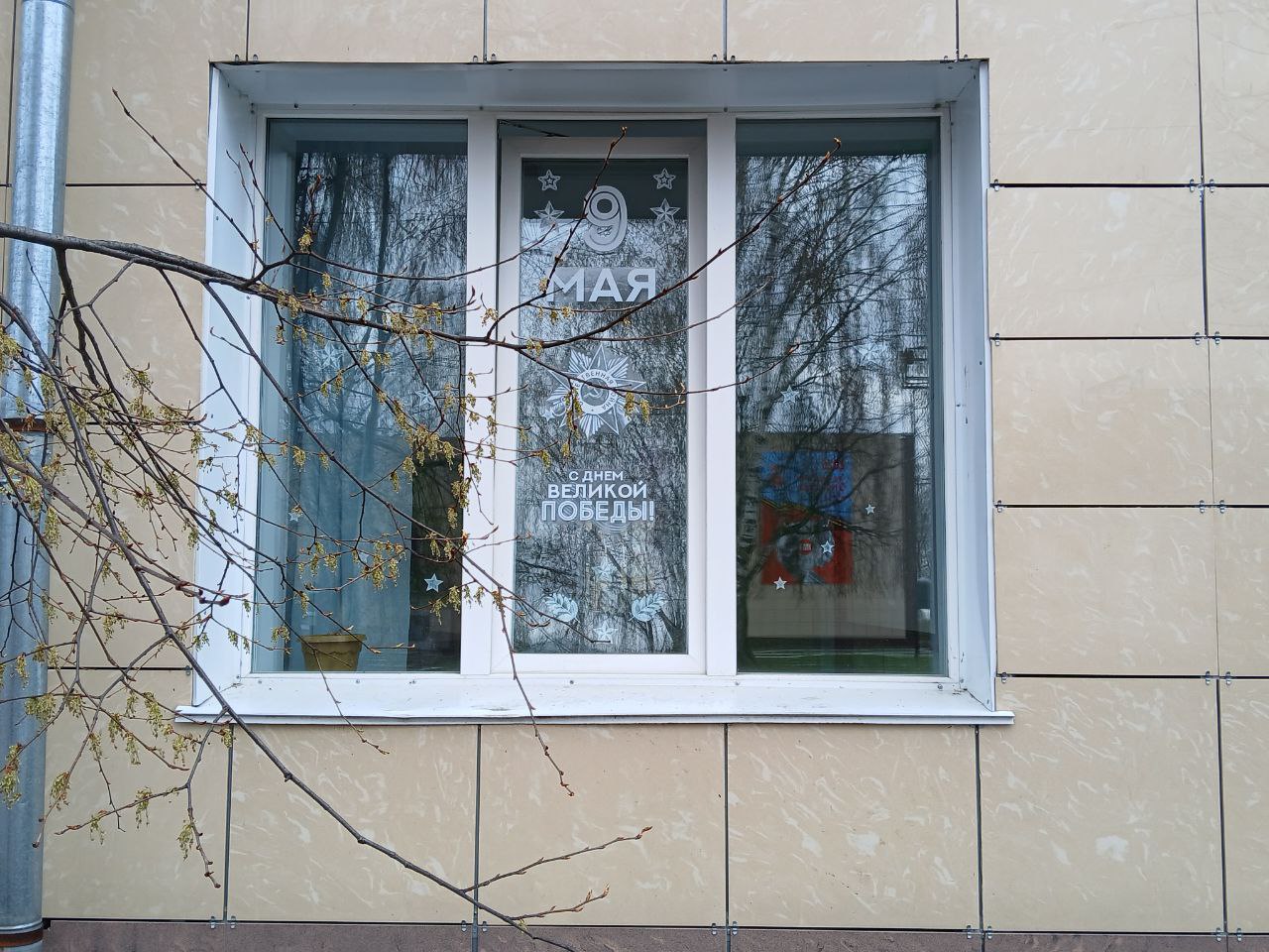 photo_2025-05-02_16-19-03 photo_2025-05-02_16-19-03