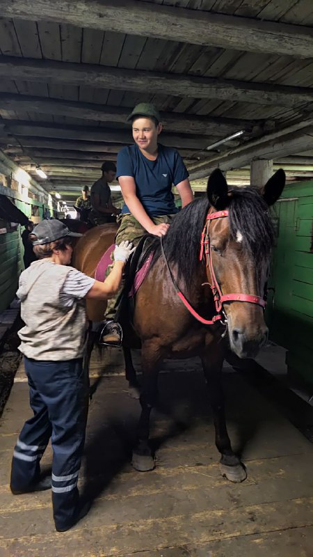 3b67863f-b252-4c9d-8ccc-3b1c6ab954cc