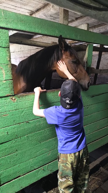 a770bdd5-f436-4bc1-a591-7aa39fc6e9c0