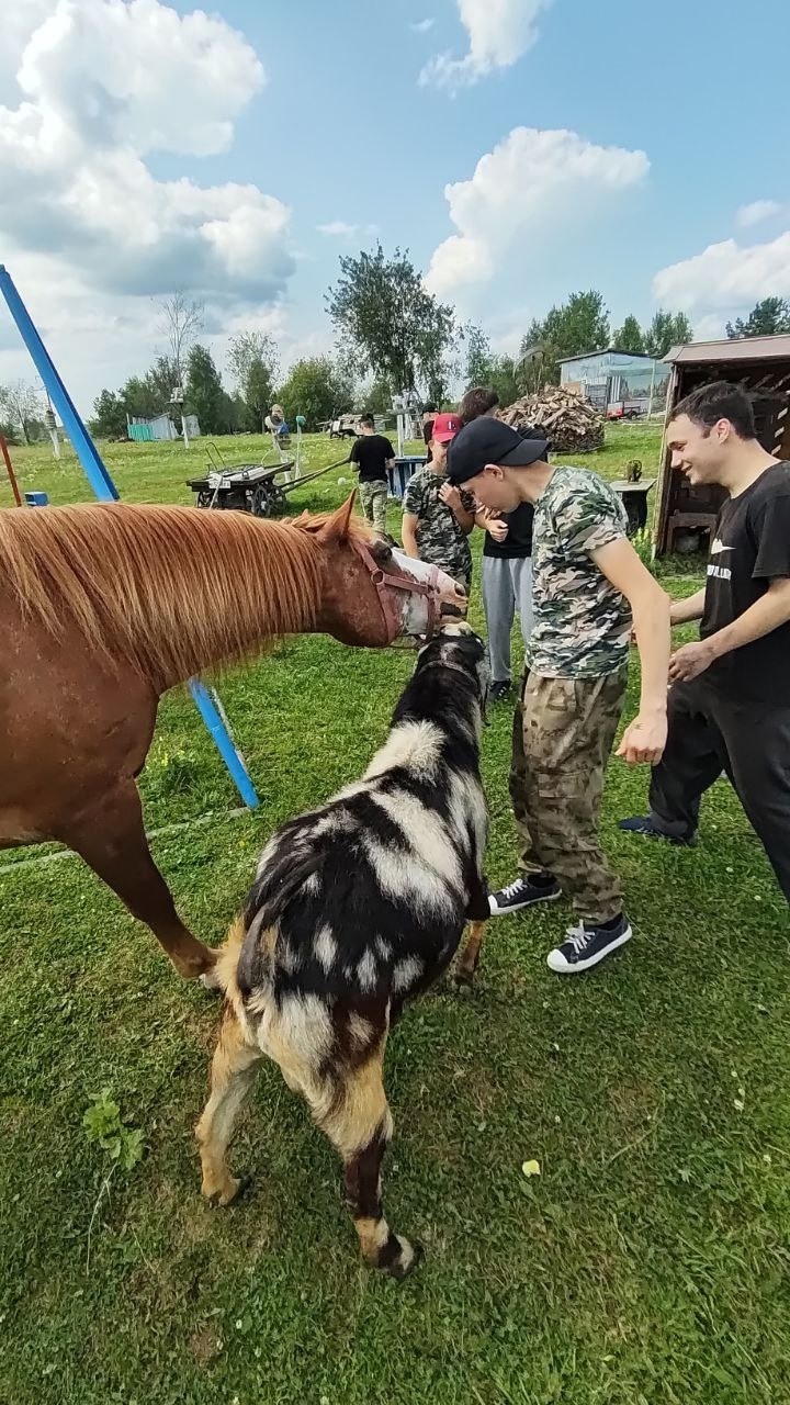 aNdcAdXxSUlAW8IK4vcE9ETf9dXbaHahG_LAw9cj__YNwzS5FCIPlBdPZmpAyHLO2tjWUAaiv6jxq828WV4dv4cN