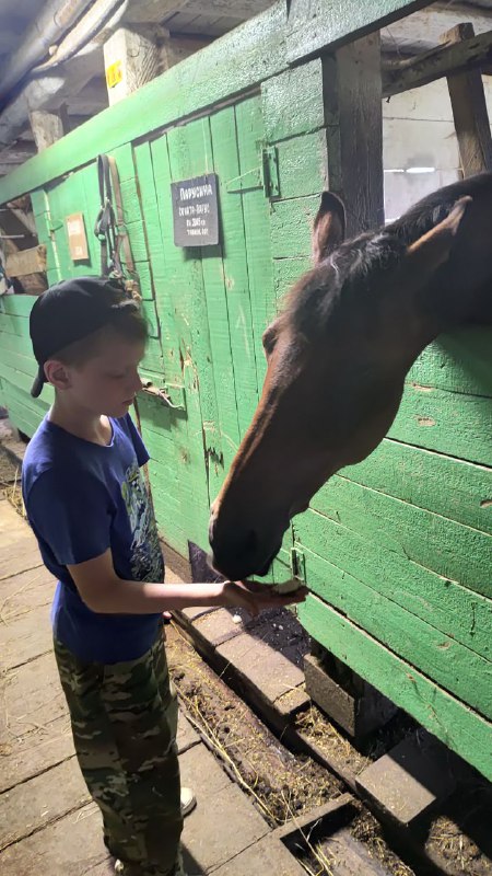 c8633730-7fe4-4333-b264-8c995d403df5