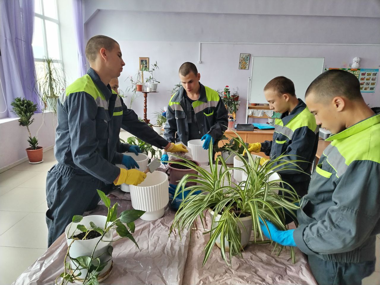 photo_2025-06-26_13-19-11 (3)