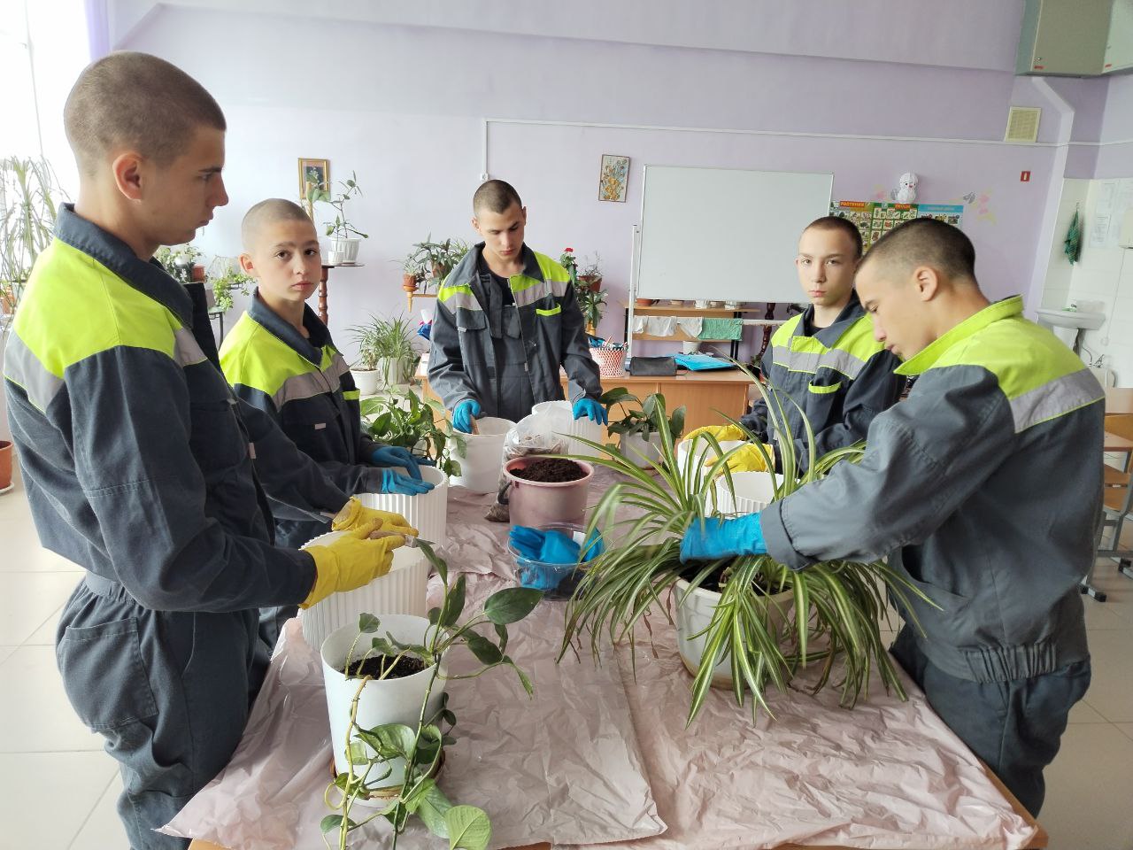 photo_2025-06-26_13-19-11 (4)