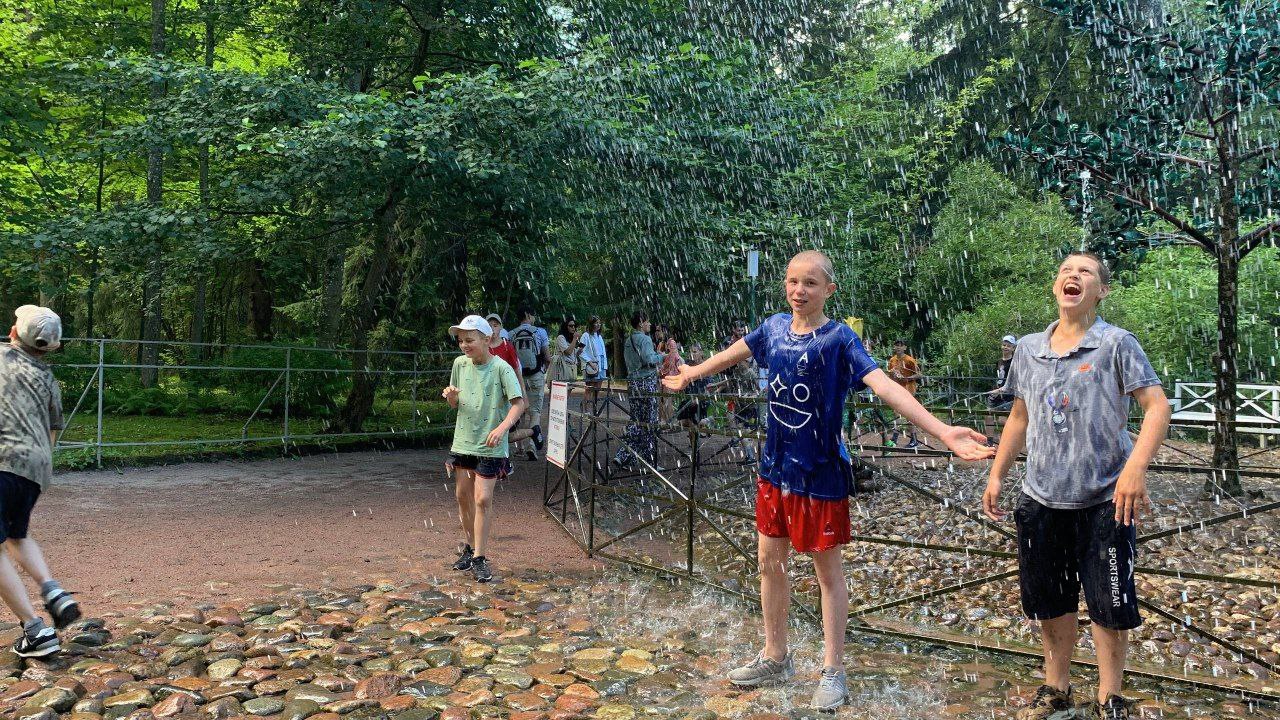 15322299-2729-4170-94ac-8067d63b37a1 15322299-2729-4170-94ac-8067d63b37a1