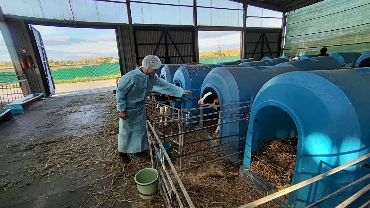 Ezyu6lOHLJQTwIFdvx_8rTumWFZD0Ri2uBrUXdoLdcW45TMAN_XavDiWtnB_DkFEjFjdVwKkqYmYPSYNwizReCaV