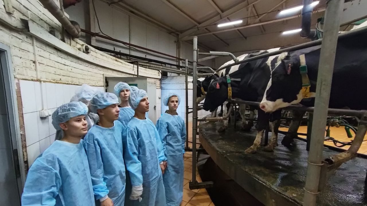 Откуда берётся молоко?