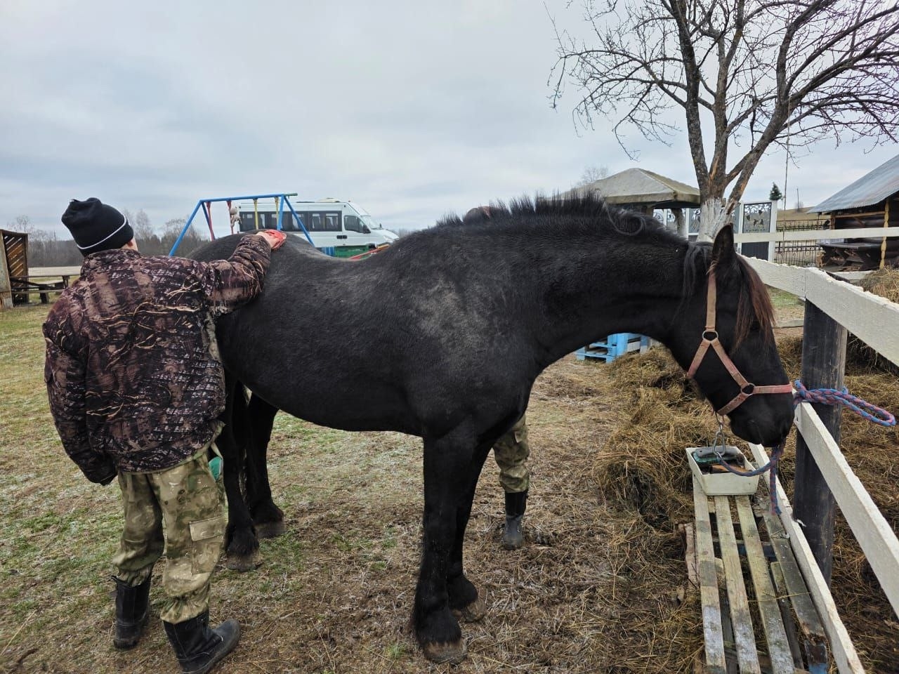 2wGuRys4THke2BPAO-j2nQMUE5MYFx0-ubxiltjM2S86tcHyhkxpEClE1DzwQX5SjTSH1jT4pFd5JHyvCDWKq1On