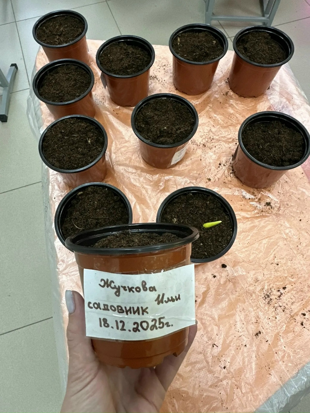 pCvG9DcBOx1K49NfdUq1UjNrgRcN9yzMGr08zDVi2ZiPtrKYSydeYZwVKWKUn_MuWdqd54qxkcoJqpyiXfrMb6of