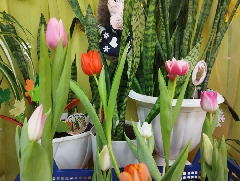 Sc8fNNlUTq_uoyH7JYhAeFALT28aWeUrOkvhjwHgX_-fF-E-DV22EQLAfja_f83Dxtm-tb7ZNuju19bwV70UKk9r