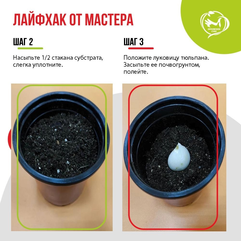 awLt9ROstP9DQf_cQxNq5WOFK9H4YwWuXIIufO1eqR7aNLYIztwJfvM52-Lg3CHe4I_0JNaATUVgfQJhQCb6Fsd1