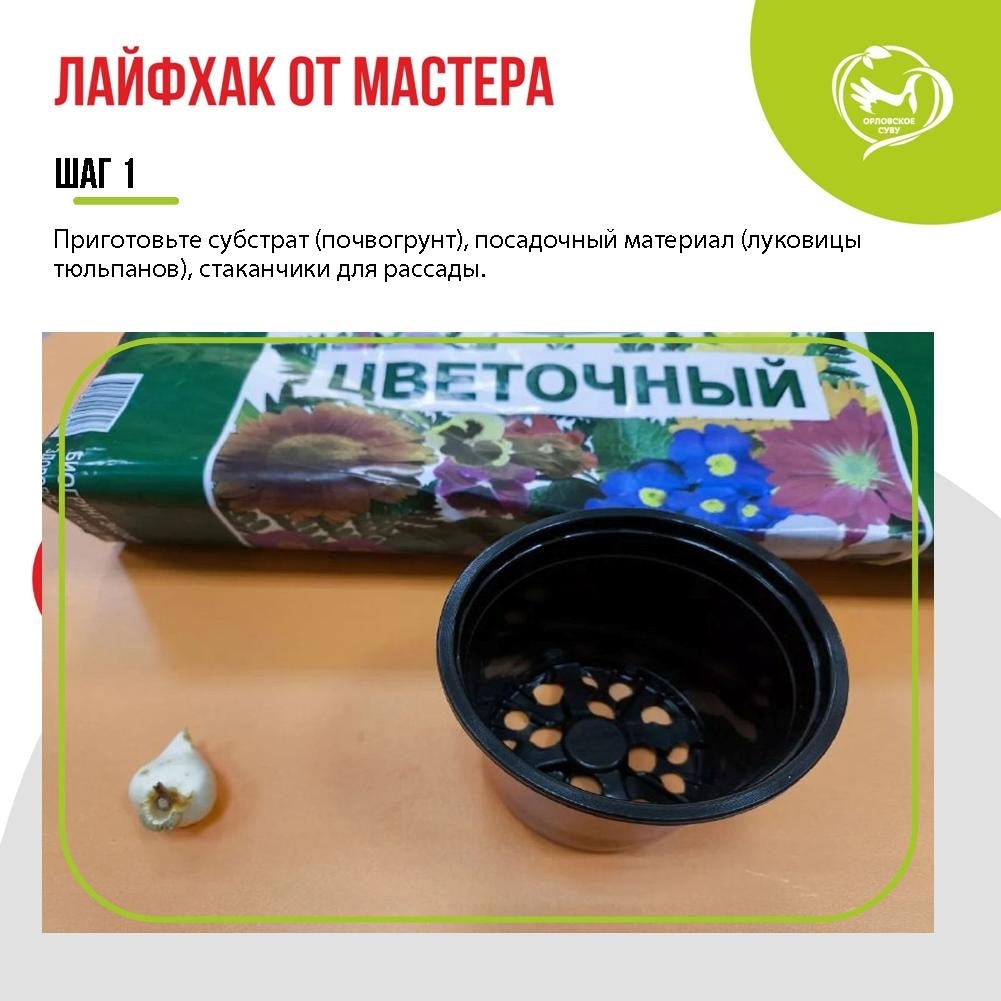 nTdA3fJWJkXNdfA4bZhdi-LwOYb0fCDoFKDRyZZuj8V9tEvXSdsgijI8O2sNO3SO4JkERqCO7bhdyPyJ4uDnOSGF