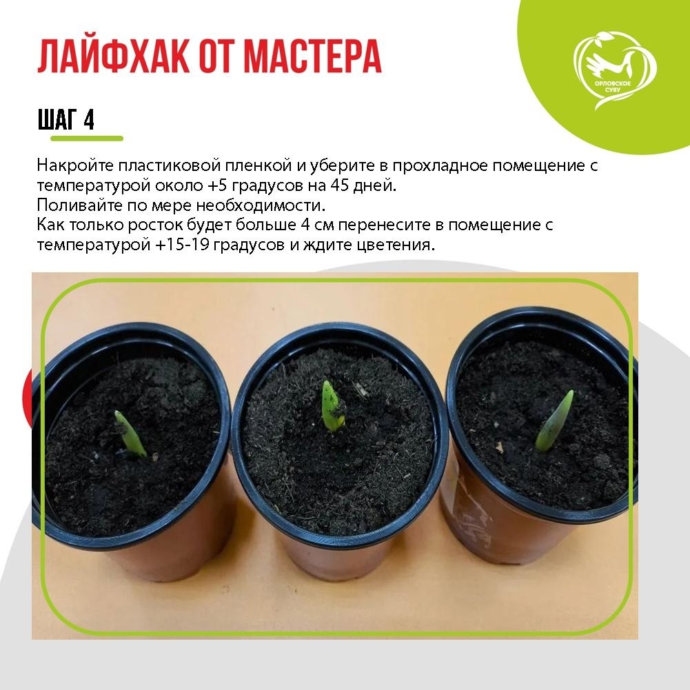 qt4sEpReA-sbzI48lTXYtkwHzPWeABGSVCTrwW0-vHKZOvl1bw4UsjavmSHfh_6c4xng8_yNVuMdgcjsMxib0csy