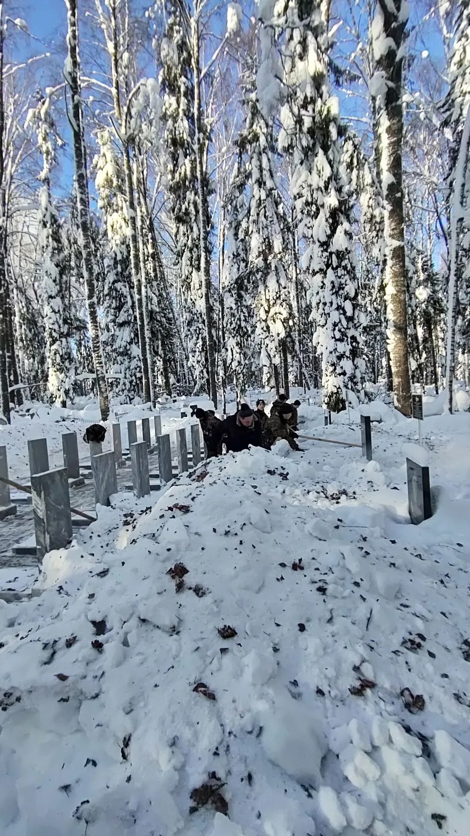 Xwka8SgEzp9VjX9qWWKr46oLFMokdNu2B4Iy4BWu10gD7ht2mIUNjKMZejQsydXb9aaEc5MGRQbuaJuf429a8TSF