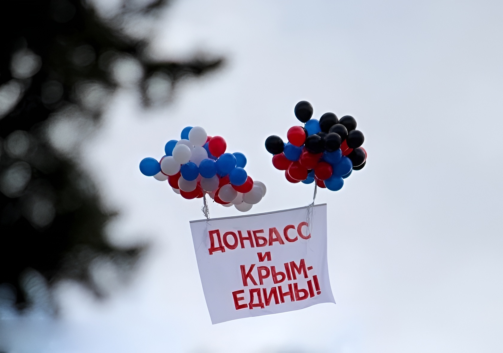 121ccac97e2614f4ce60_2000x