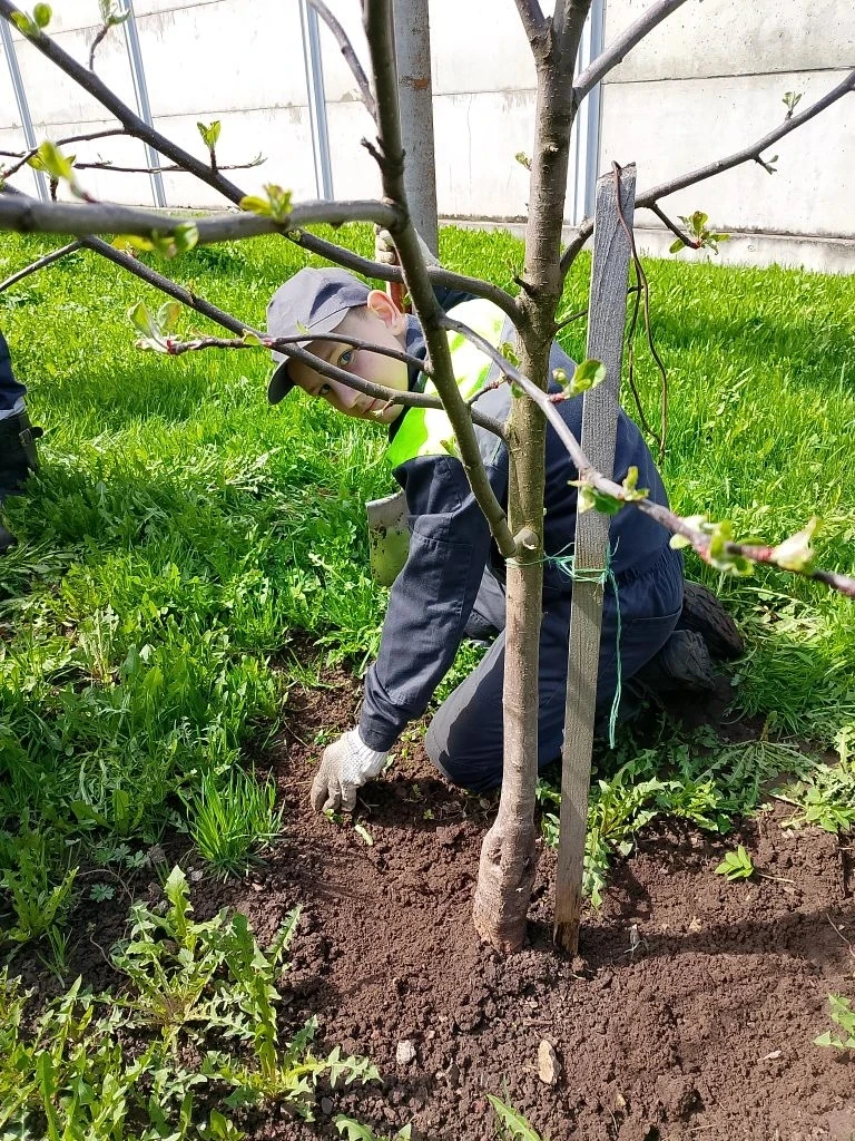 Юные садовники Орловского СУВУ встречают весну полезным трудом