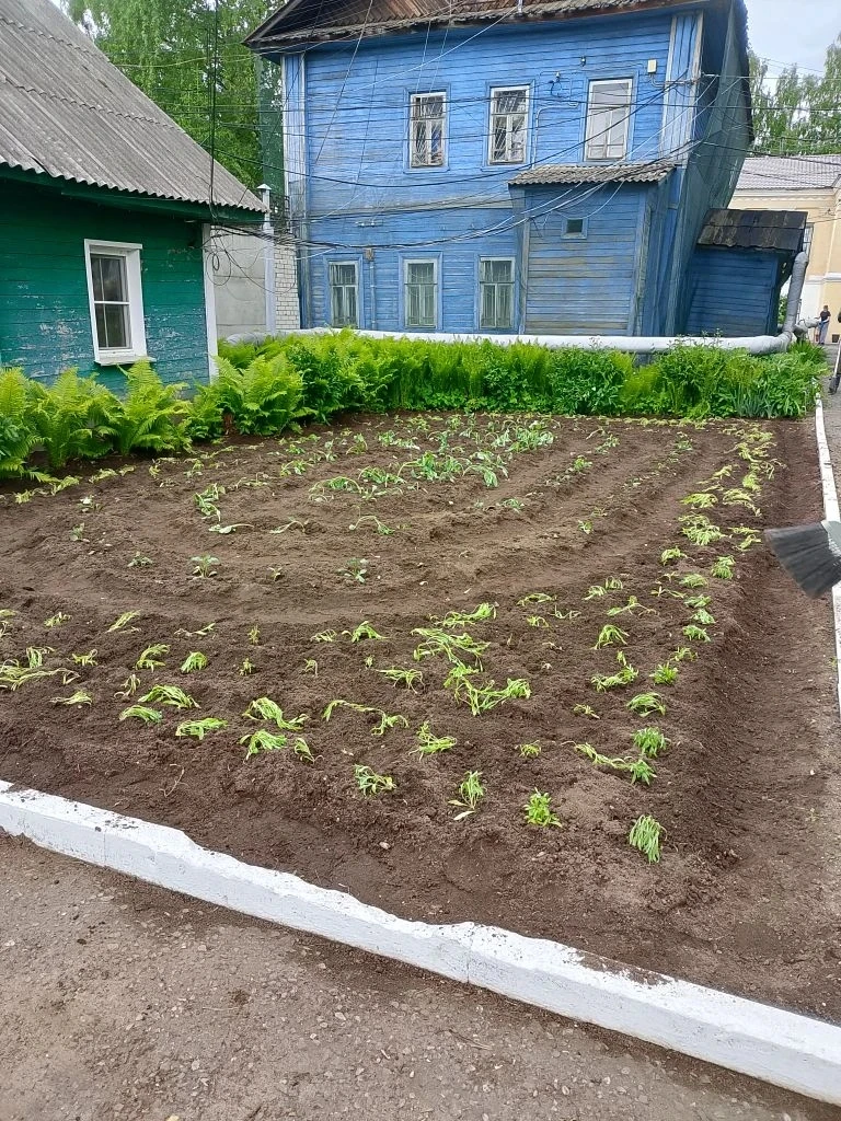 i (4)