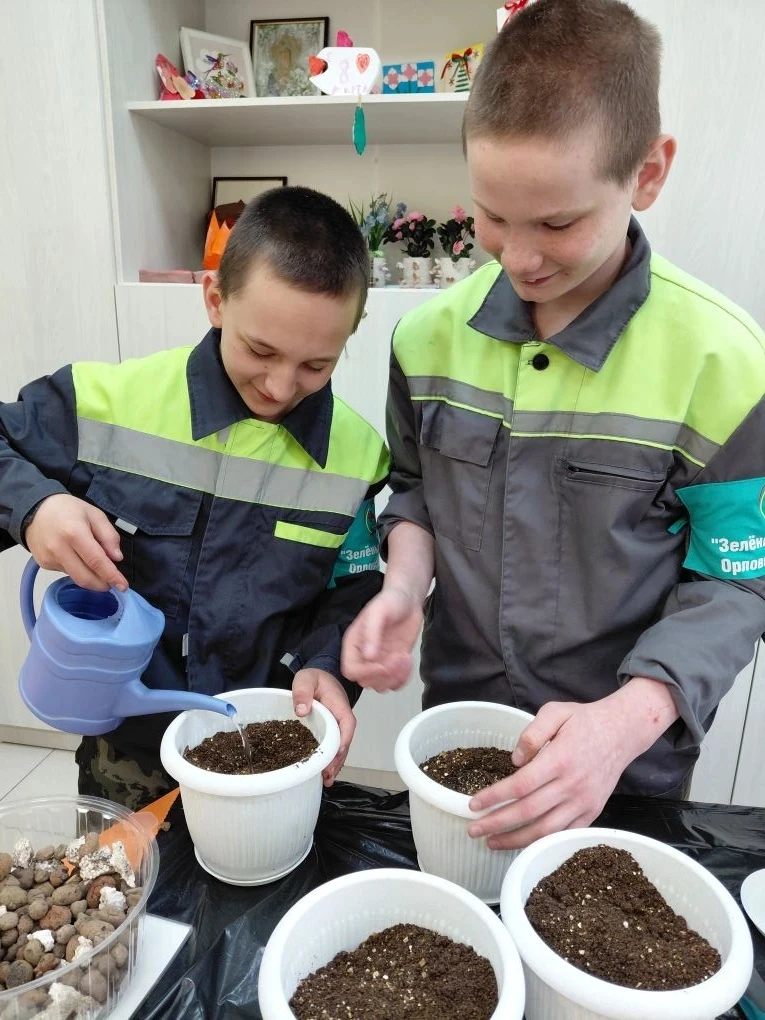 i (5)