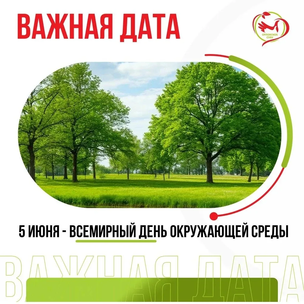 Экологическая ответственность как часть социализации