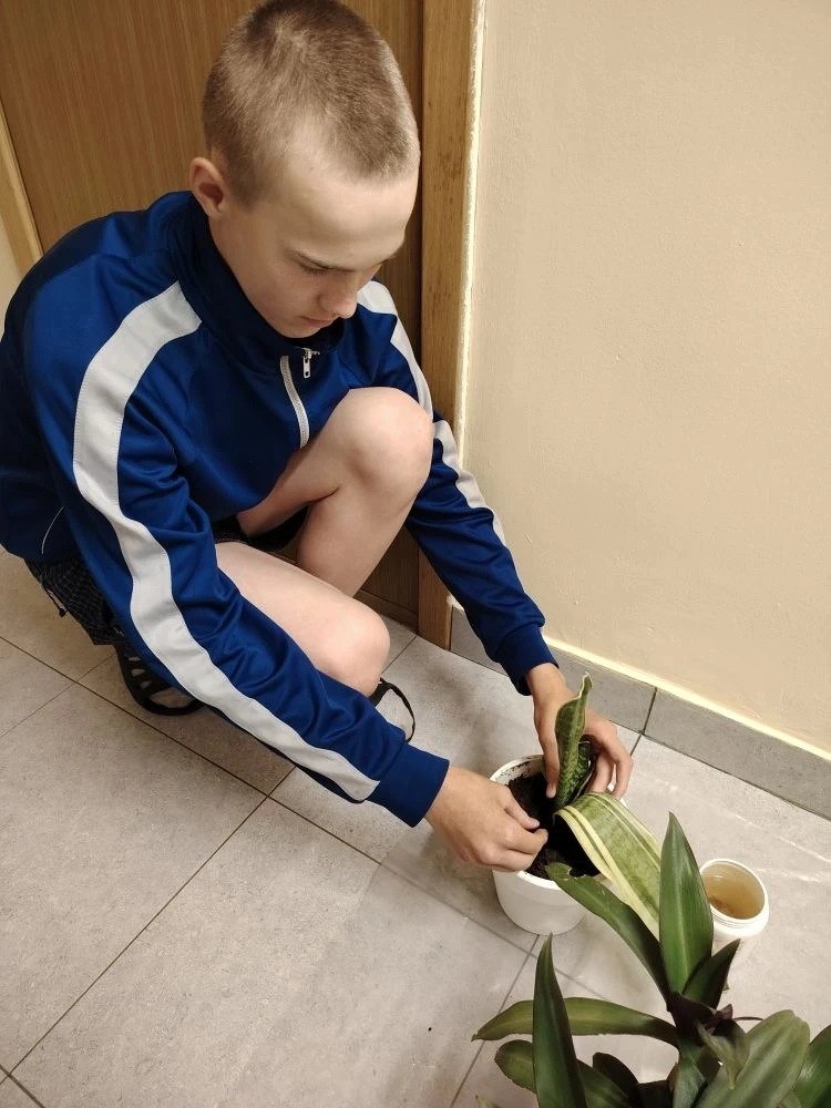 i (6)