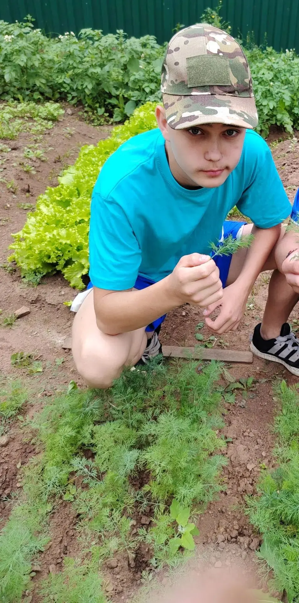 i (5)