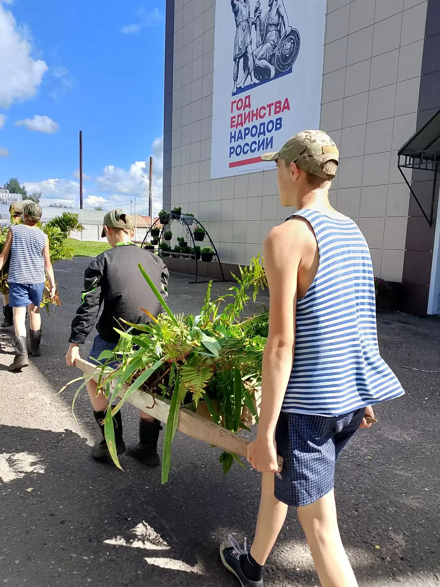 У нас потрясающая новость: у папоротника появился новый «дом»