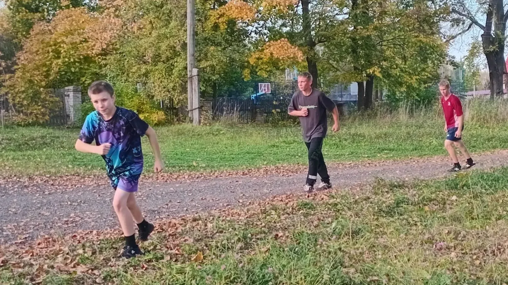 i (3)