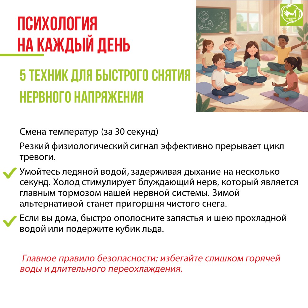 Точка опоры_шаблон 4