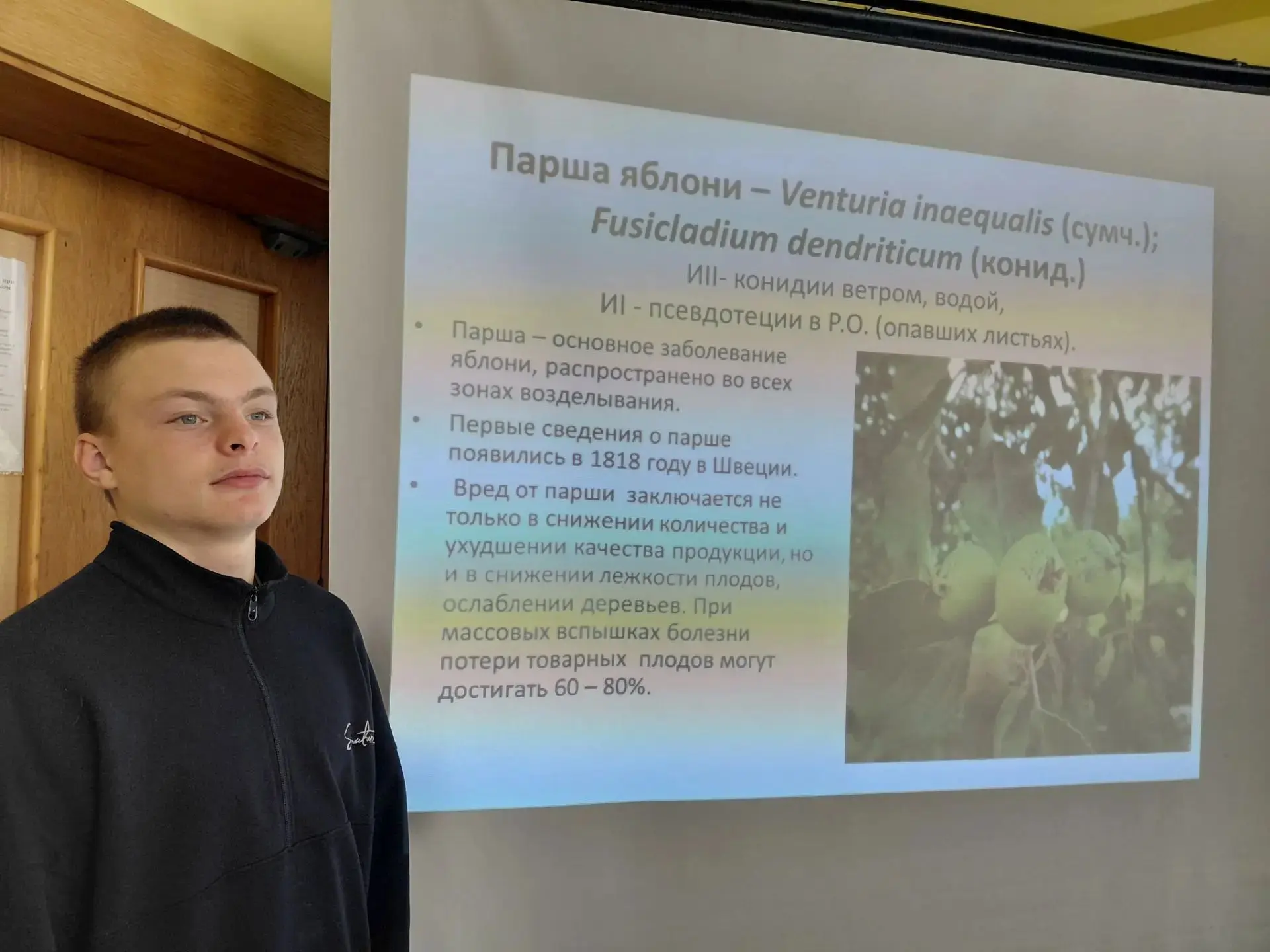 Творческий подход к профессии — путь к успеху!